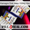 Kamagra Oral Jelly 100Mg Use 12